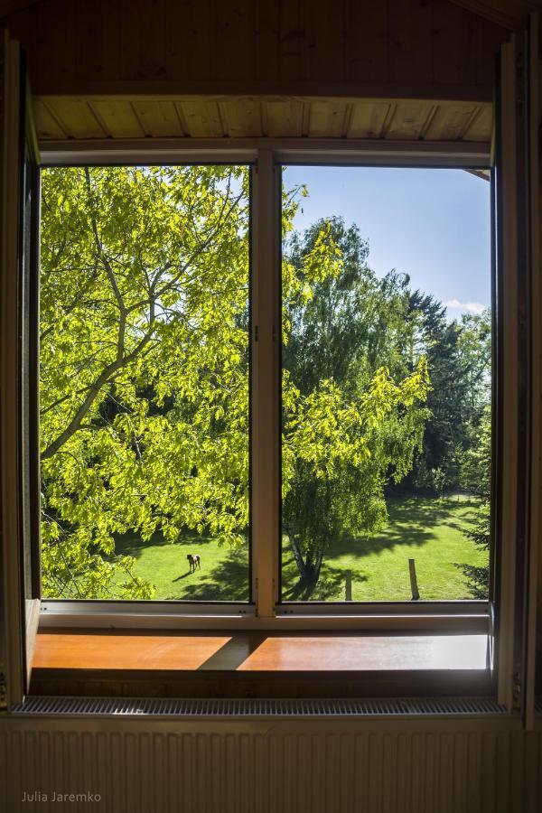 Lesne Zacisze Villa Ilawa Bagian luar foto