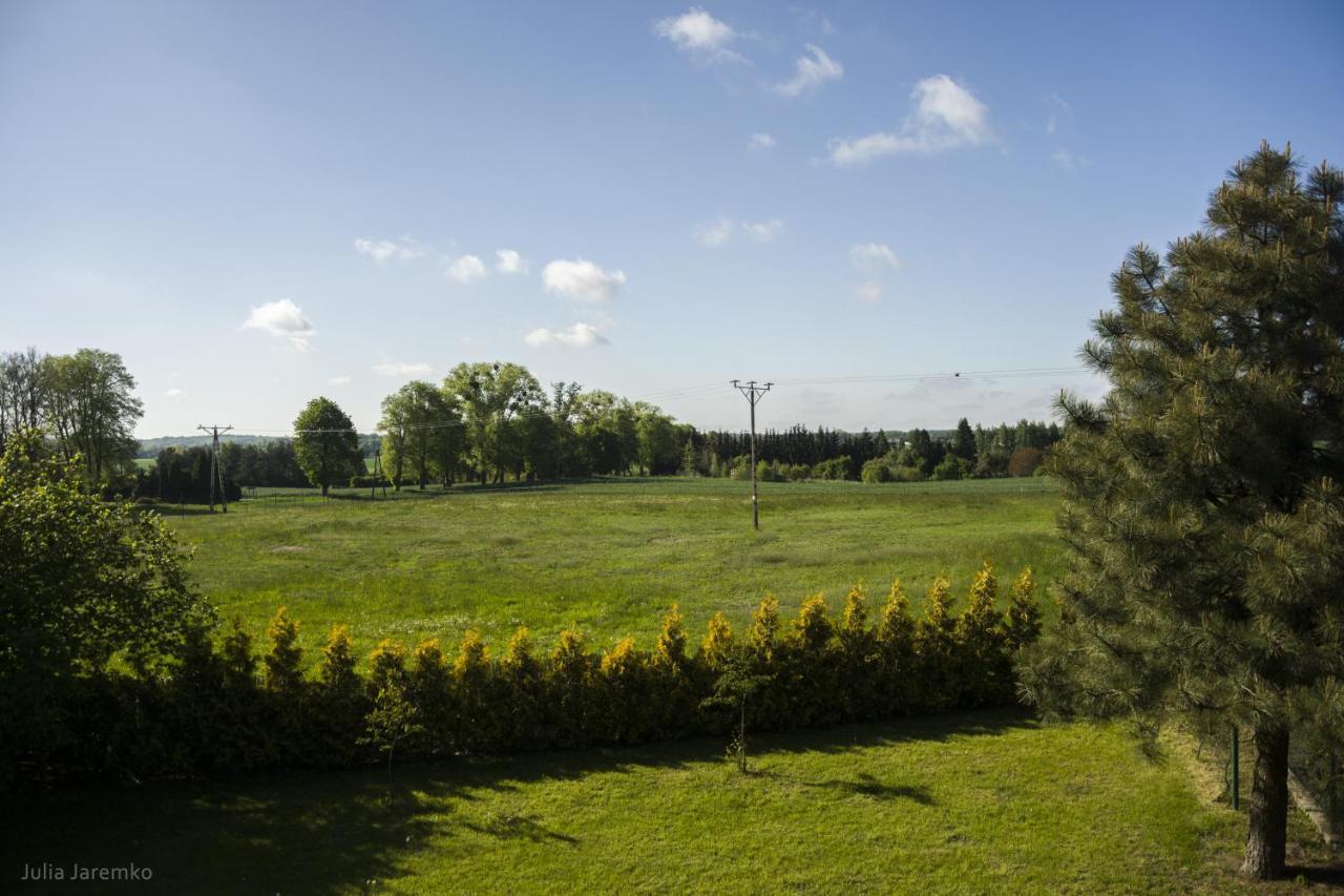 Lesne Zacisze Villa Ilawa Bagian luar foto